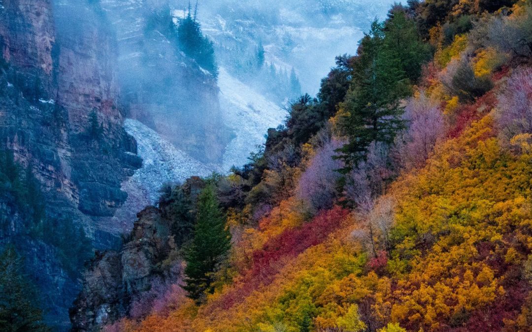 How to optimize your health with the changing seasons