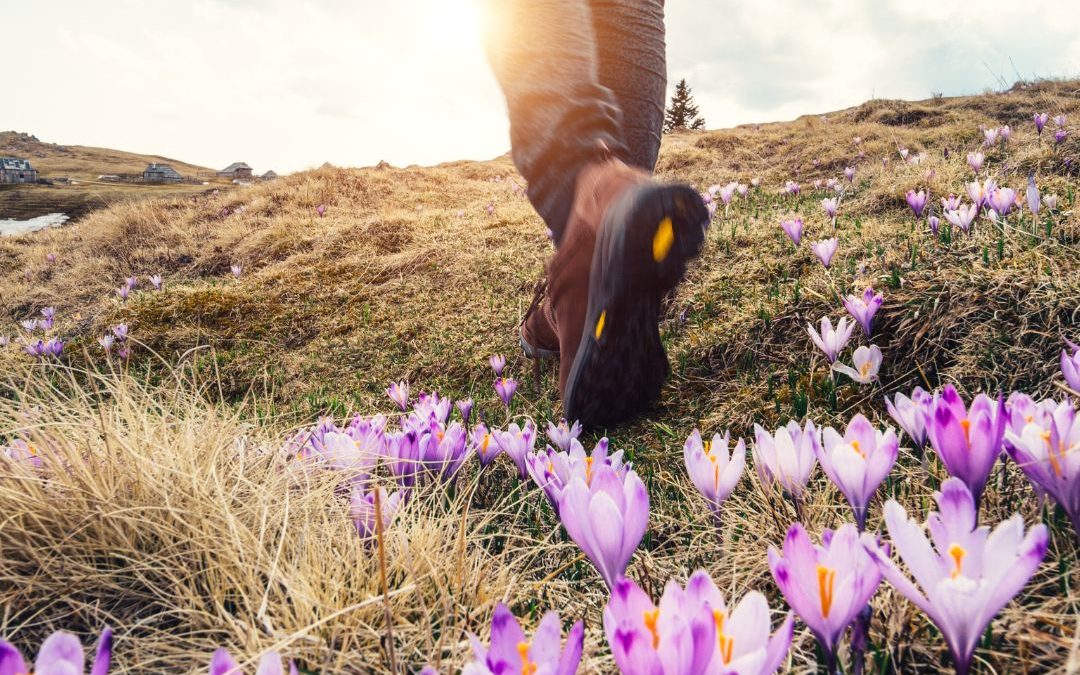 Optimizing your Health through Spring