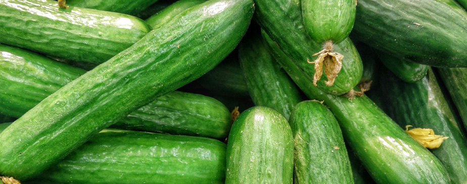 Summer Food Focus: Cucumber