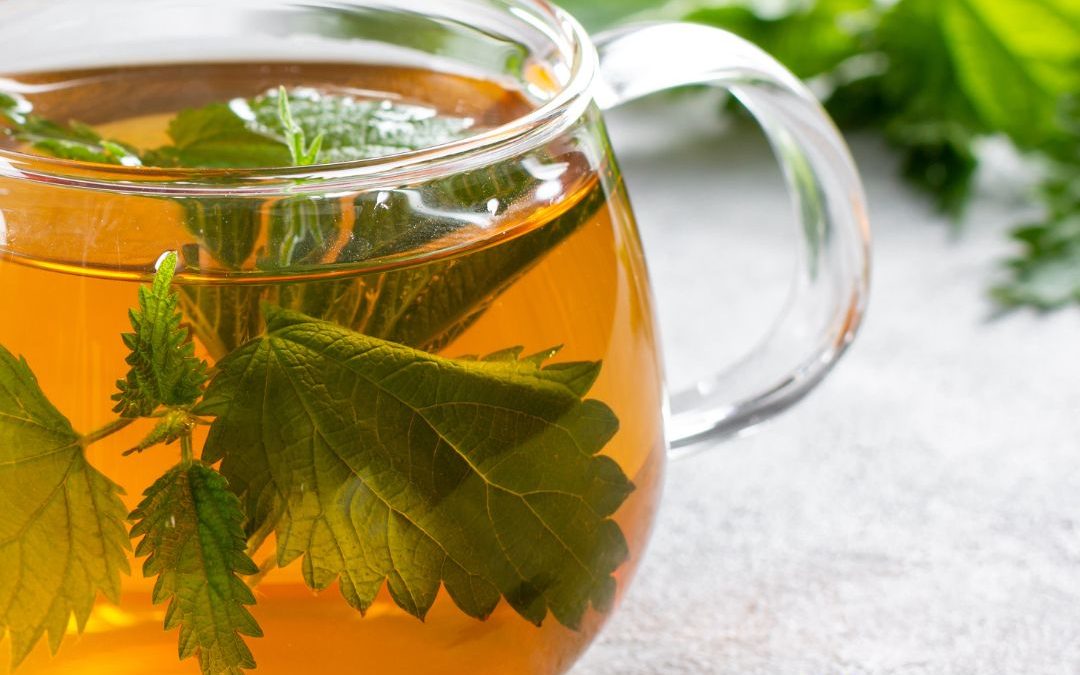 Stinging Nettle – a Springtime Friend