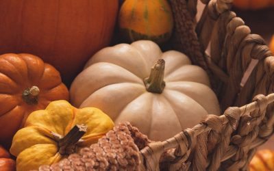 Food in focus – The Medicine On Your Plate