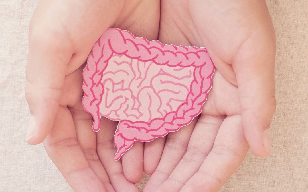 Happy Gut, Healthy Lives