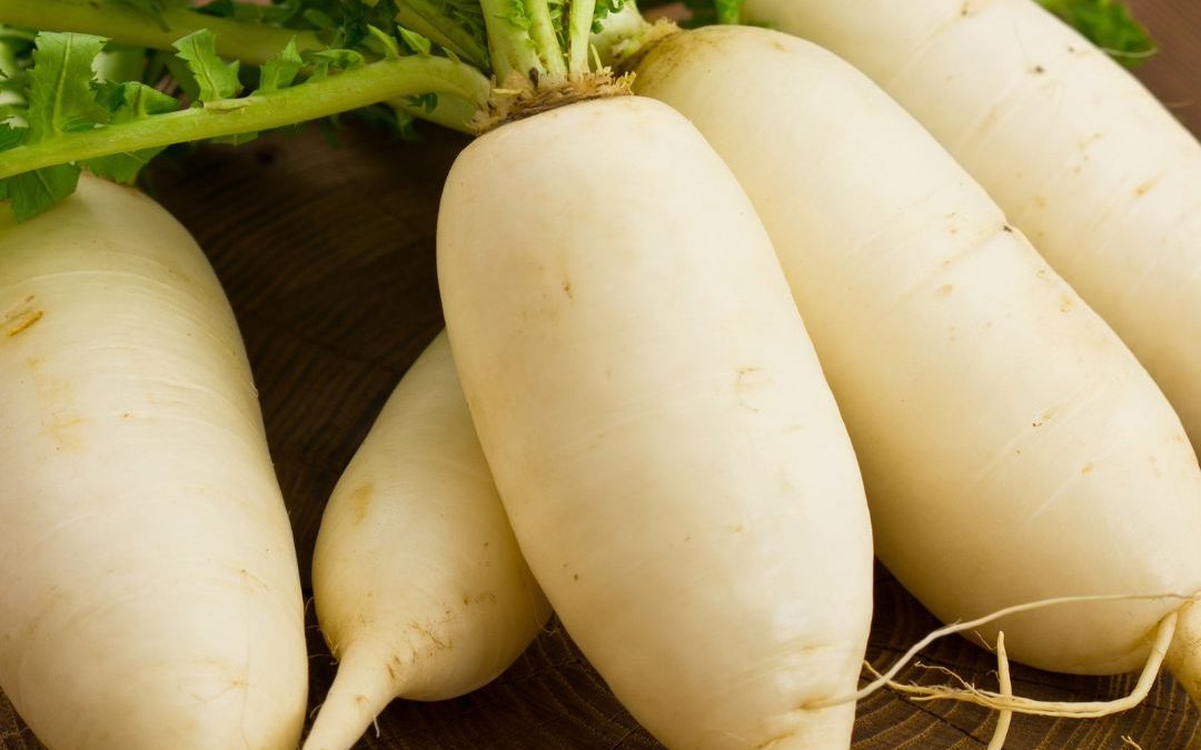 The Magic Of The Radish!