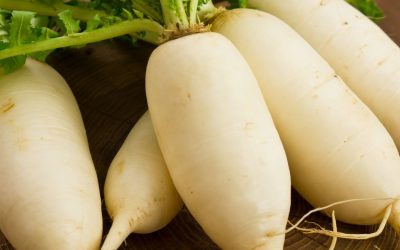 The Magic Of The Radish!