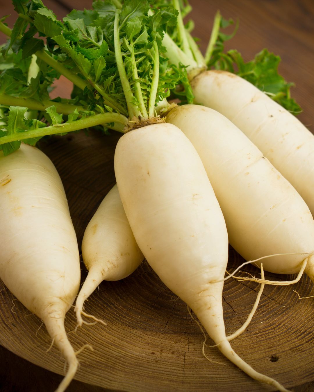 Radish
