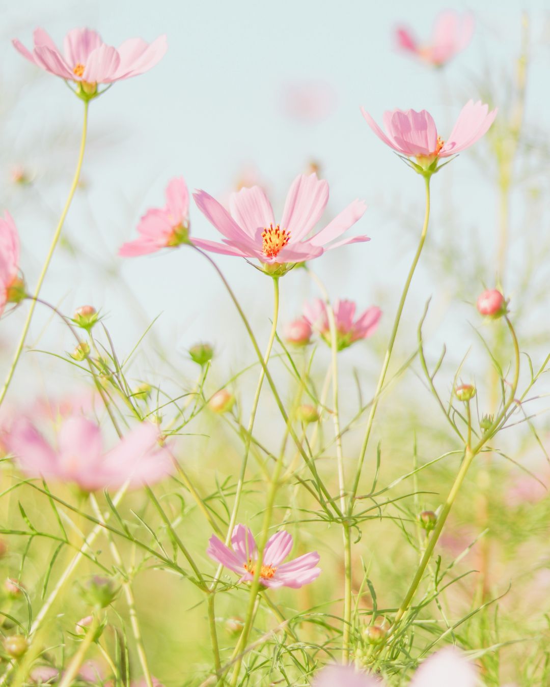 Angela Warburton get’s in depth about Spring