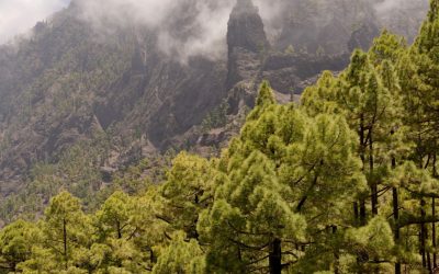 Climate Change – What we can do to help