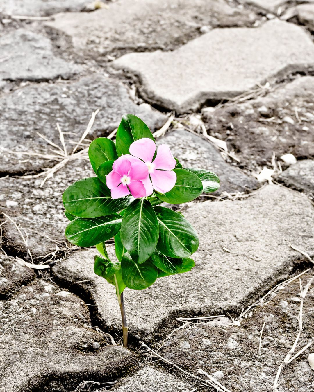 Building resilience in challenging times