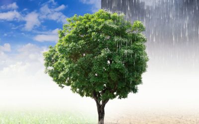 Moving through the Change of Season