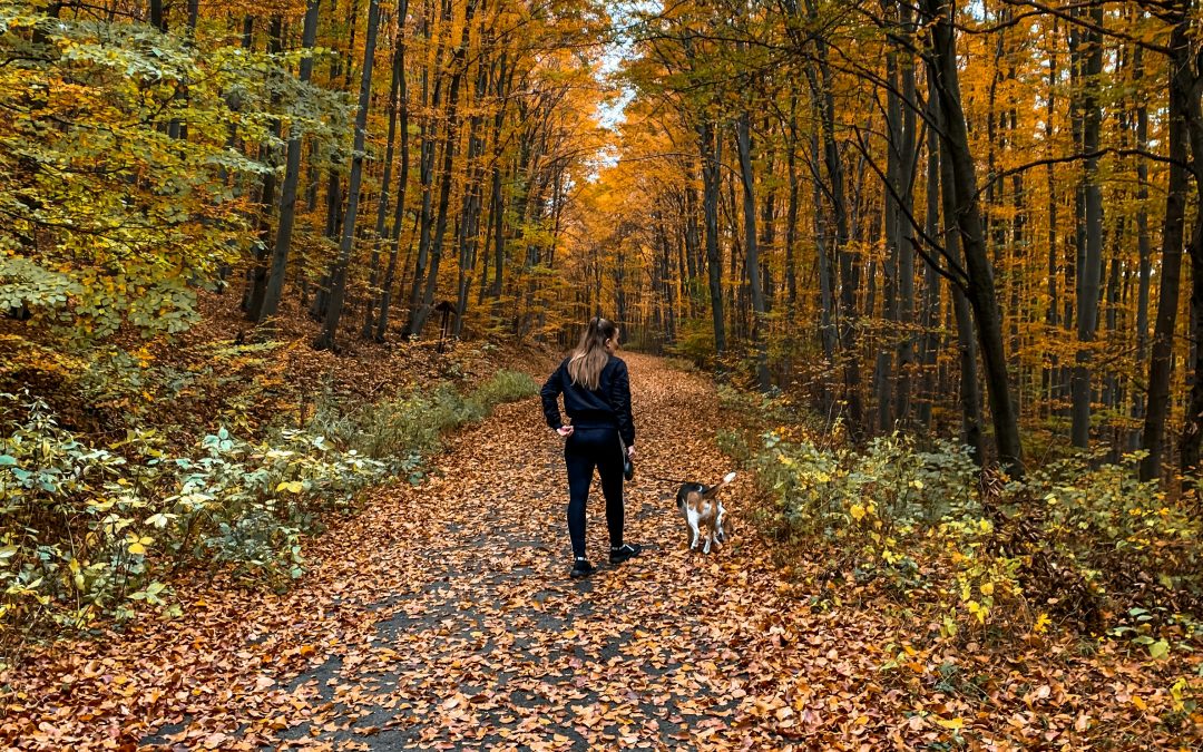 FALL SELF-CARE NATURE RETREAT
